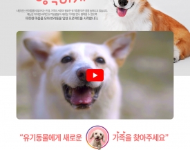 캐논, 반려동물 입양 프로젝트  ‘#오늘부터 행복하개’ 캠페인 실시